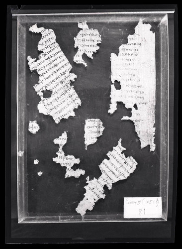 Codex V, papyrus page 1