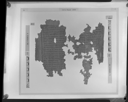 Codex V, papyrus pages 84 and 3