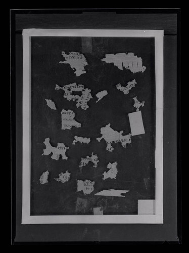 Codex IX, papyrus page unknown