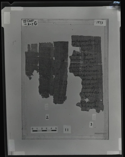 Codex VII cartonnage fragments