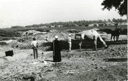 Pbow ruins at Fāw Qiblī