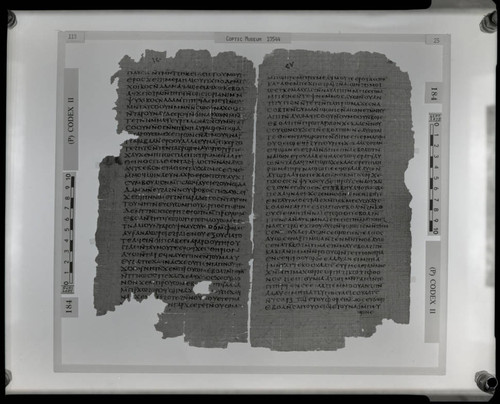 Codex II, papyrus pages 118 and 25