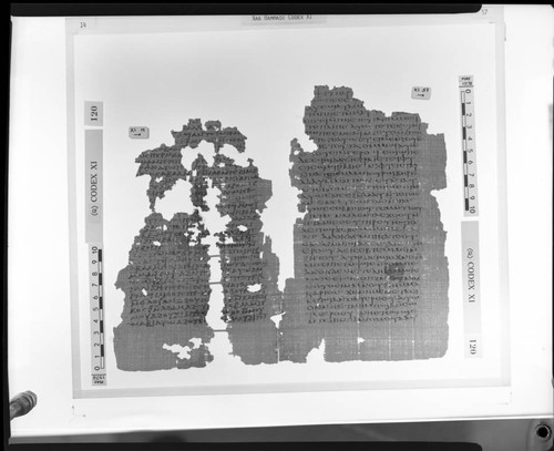 Codex XI, papyrus pages 14 and 57