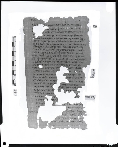 Codex VIII, papyrus page 24
