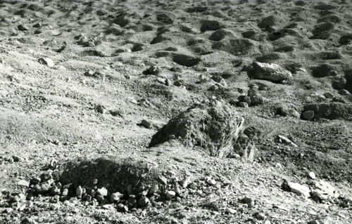 Pitting at the discovery site at Jabal al-Ṭārif