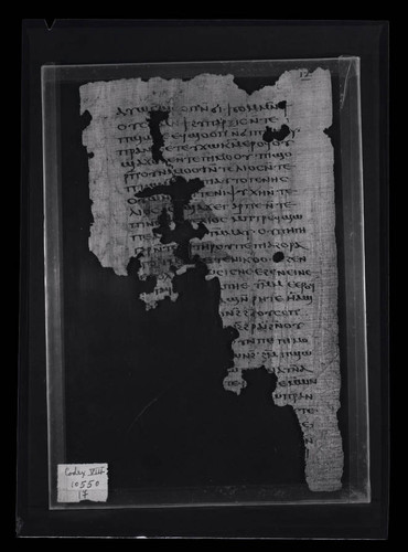 Codex VIII, papyrus page 17