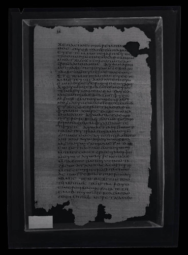 Codex VII, papyrus page 12