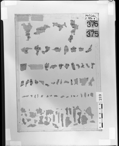 Miscellaneous vertical papyri fragments from the J Series