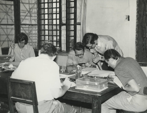 Work session in the library of the Coptic Museum