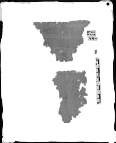 Codex IV, D and E