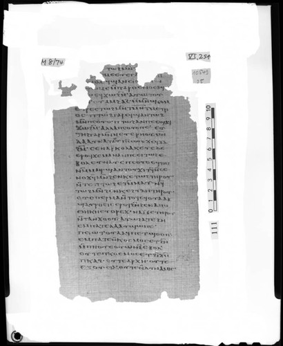 Codex VI, papyrus page 25