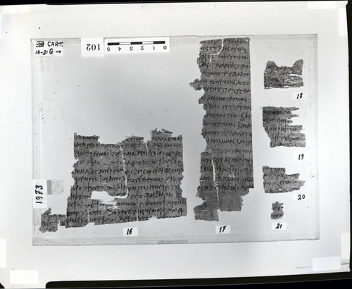 Codex VIII cartonnage fragments