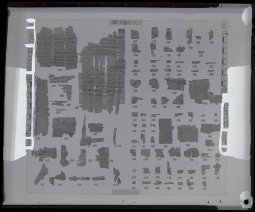 Codex VII, remnants 100e-119e and 120e-189e