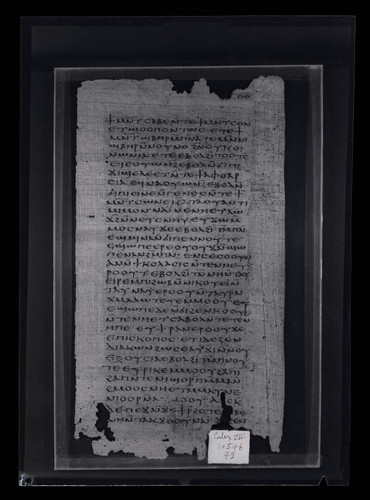 Codex VII, papyrus page 79