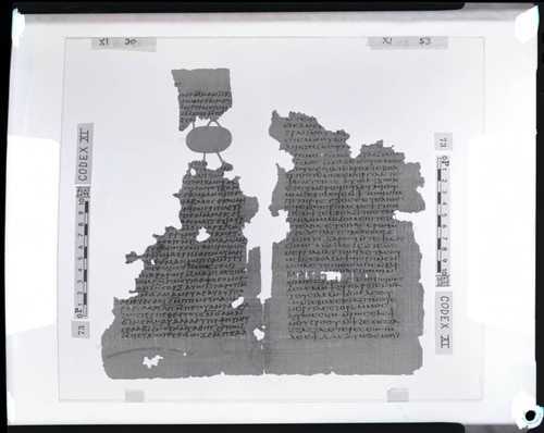 Codex XI, papyrus pages 20 and 53