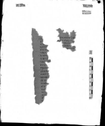 Codex VIII papyrus page 106