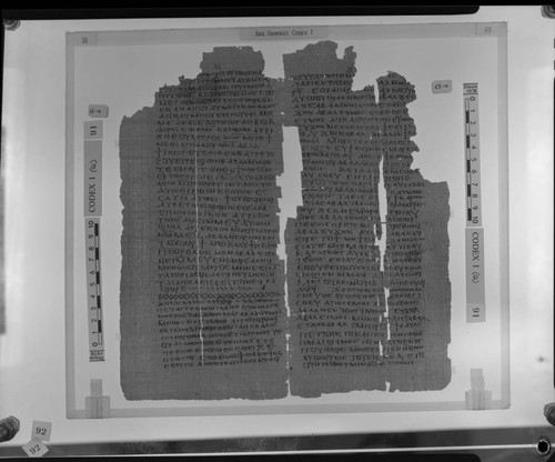 Codex I, papyrus pages 16 and 69