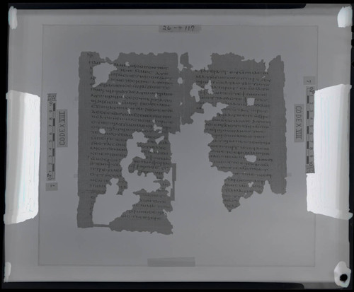Codex VIII papyri pages 26 and 117