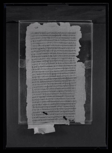 Codex II, papyrus page 113