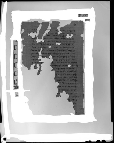 Codex VIII, papyrus page 13