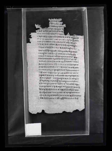 Codex VI, papyrus page 24