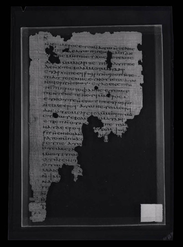 Codex VIII, papyrus page 20