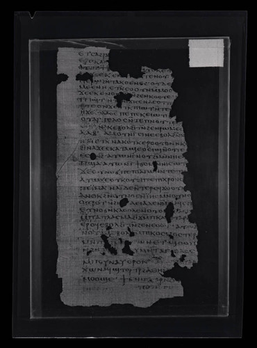 Codex VIII, papyrus page 4