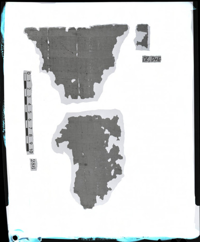 Codex IV, D and E