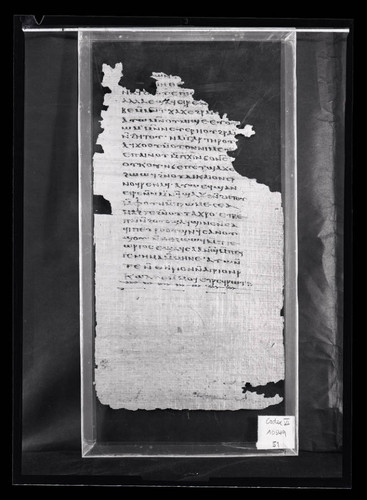 Codex VI, papyrus page 51