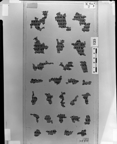 Codex X papyri fragments