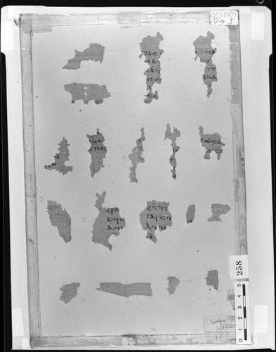 Codex VIII papyri fragments from D