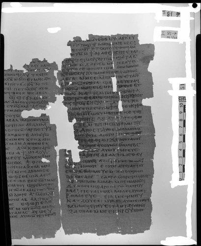 Codex I, papyrus page 81