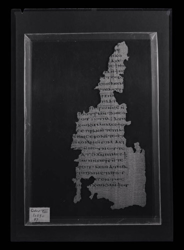 Codex VIII, papyrus page 53