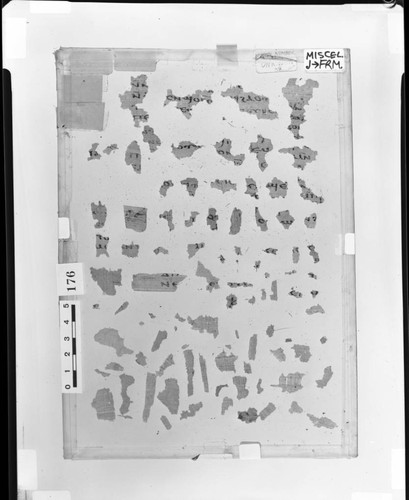 Codex IX papyri fragments