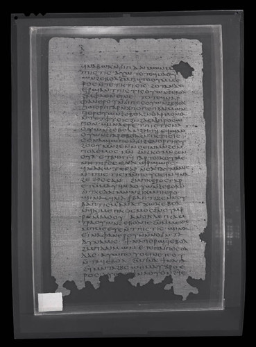 Codex VII, papyrus page 30