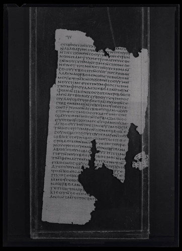 Codex II, papyrus page 65