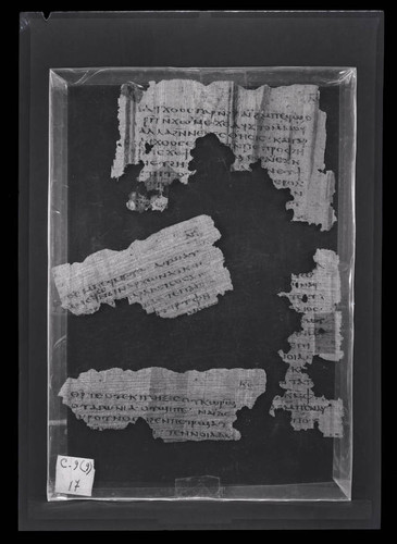 Codex IV, papyrus page 35