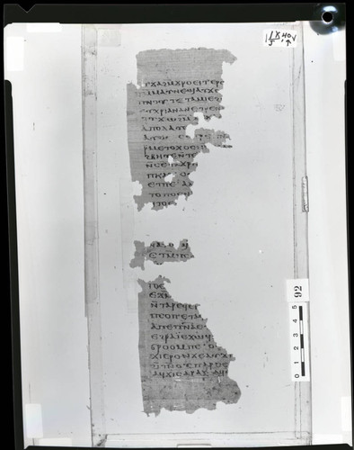 Codex IX papyrus page 39