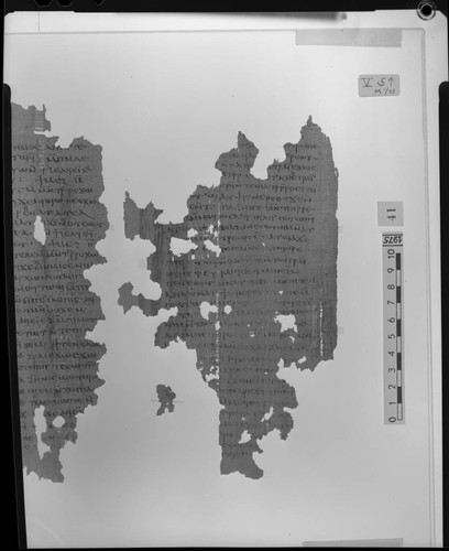 Codex V, papyrus page 5