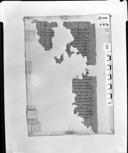 Codex IV, papyrus page 44