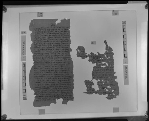 Codex I, papyrus pages 122 and 139