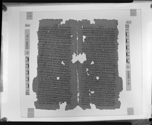 Codex I, papyrus pages 130 and 131