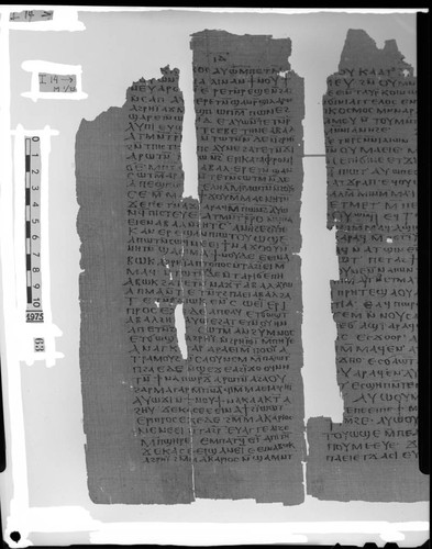 Codex I, papyrus page 14