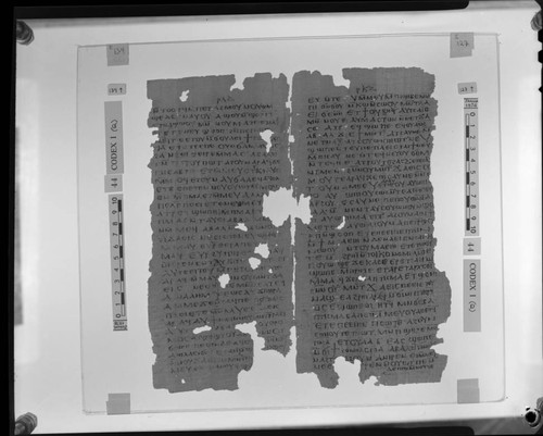 Codex I, papyrus pages 134 and 127