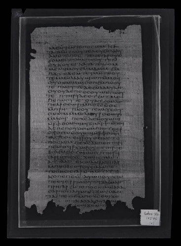 Codex VII, papyrus page 101