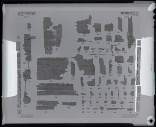 Codex VII, remnants 26e-35e and 36e-88e