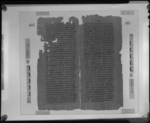 Codex I, papyrus pages 56 and 29