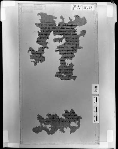 Codex IX papyrus page 67