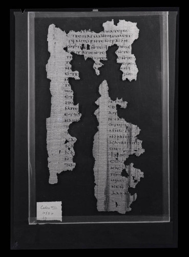 Codex VIII, papyrus page 92 & 94