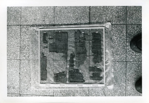 Nag Hammadi codex fragments